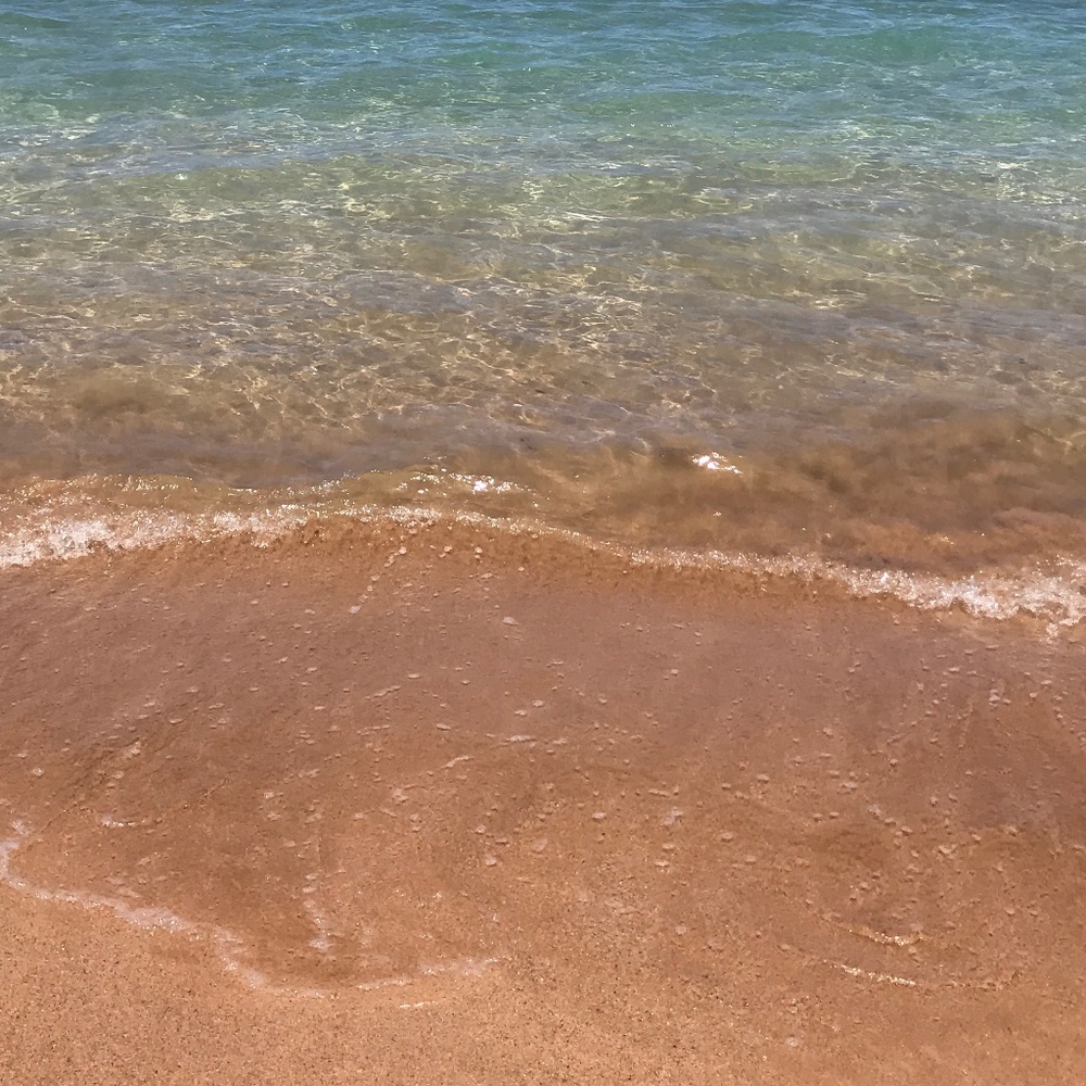 Meet your Posher, Samantha